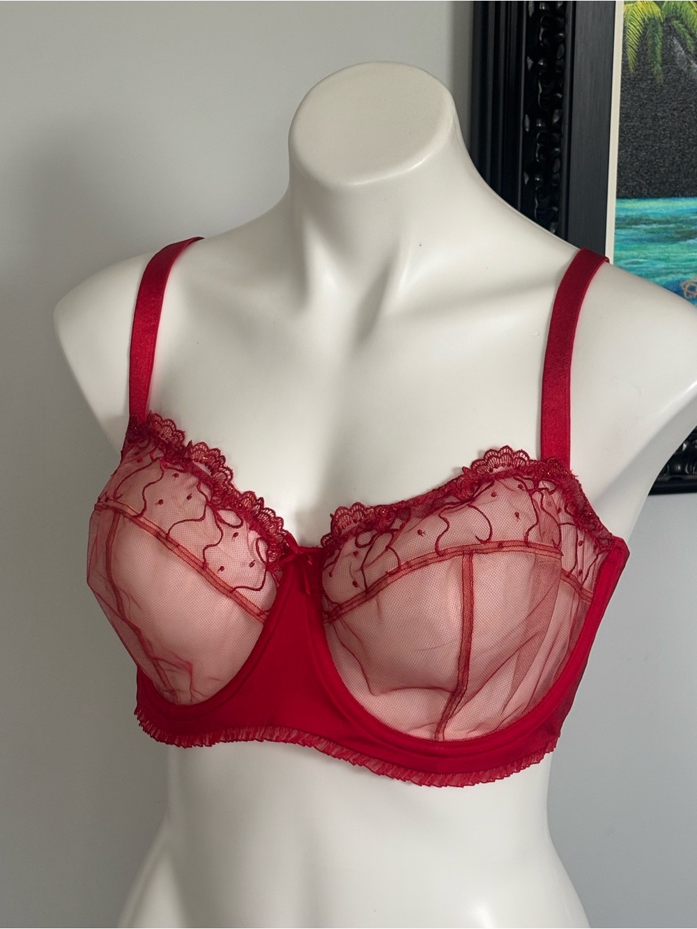 Savage X Fenty Red Sheer Lace Underwire Bra 38 DDD NWOT
